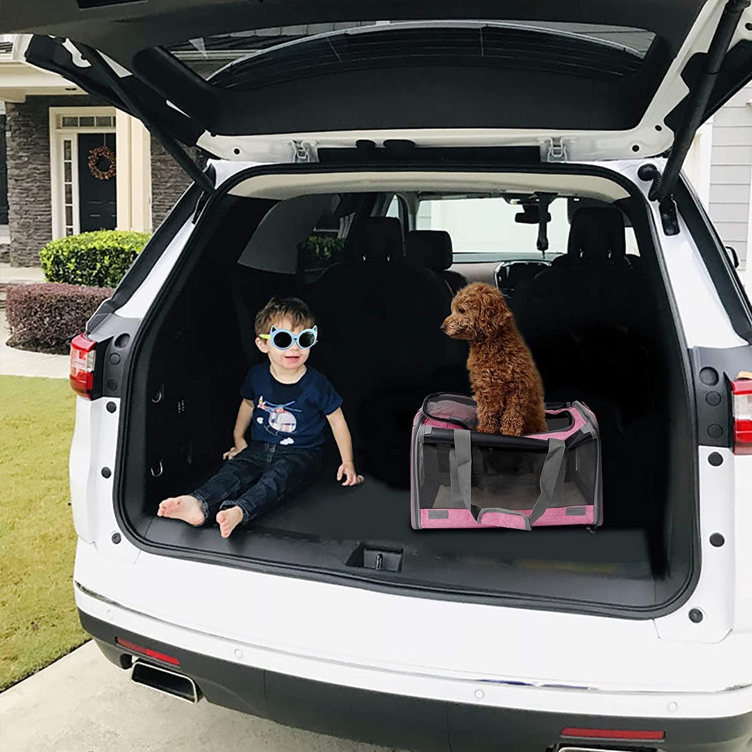 Premium Soft-Sided Pet Carrier for Large and Medium Cats and Puppies, Ideal for Travel with Privacy Protection