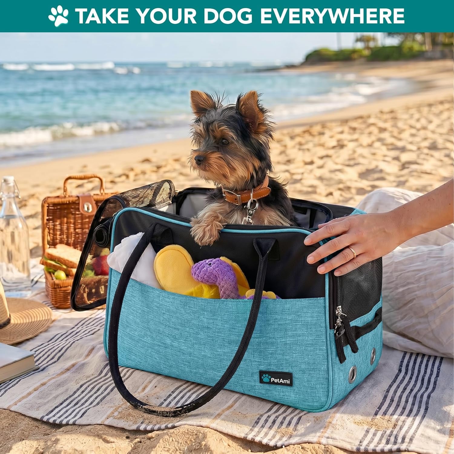 Soft-Sided Pet Carrier for Small Dogs and Cats, TSA Approved Travel Tote with Ventilation, Pockets, and Shoulder Strap, Includes Bed, Max Weight 12 lbs, Turquoise