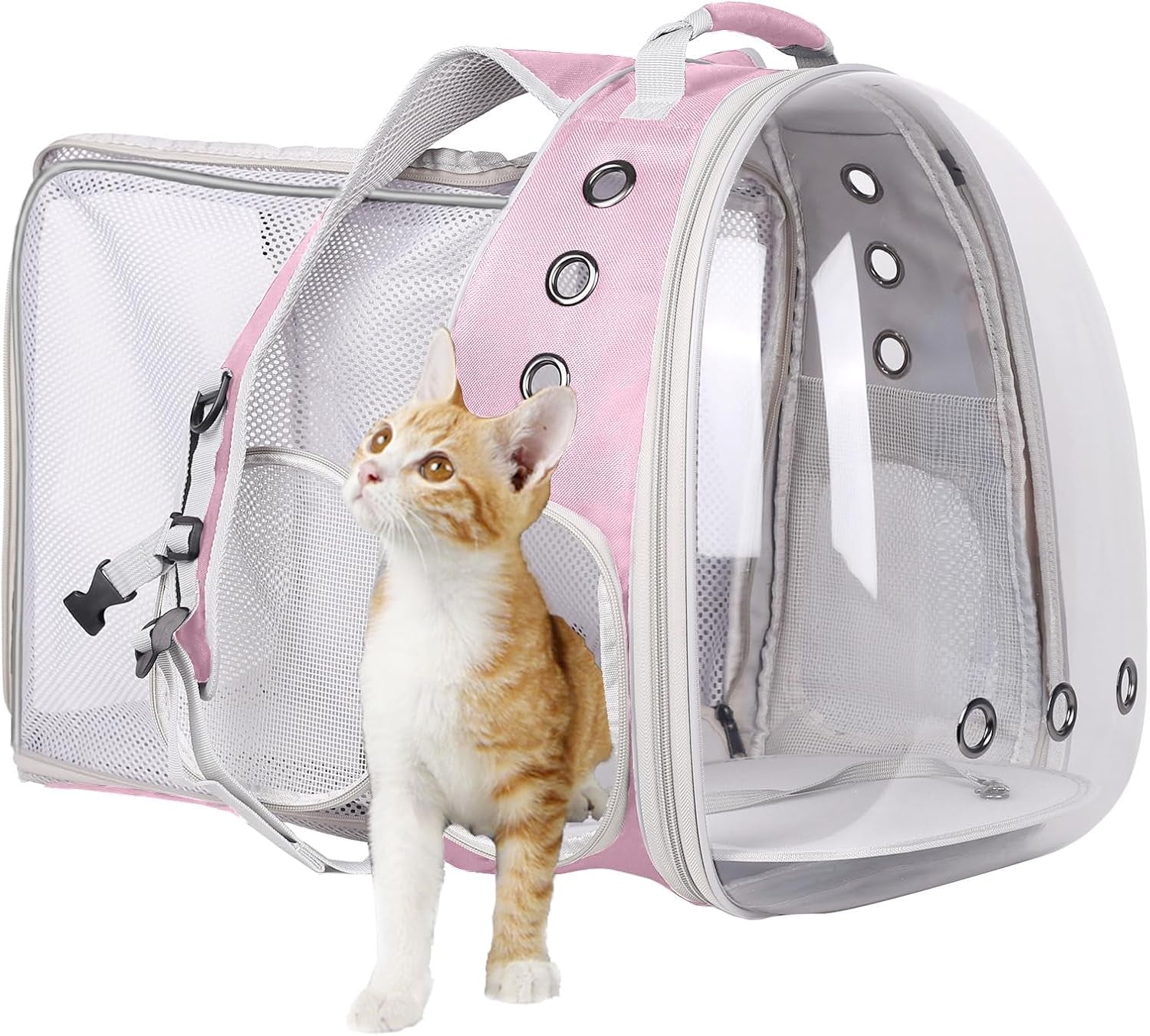 Professional Cat Bubble Backpack with Fan - Space Capsule Clear Window Pet Travel Carrier for Cats and Small Dogs (up to 12 lbs)