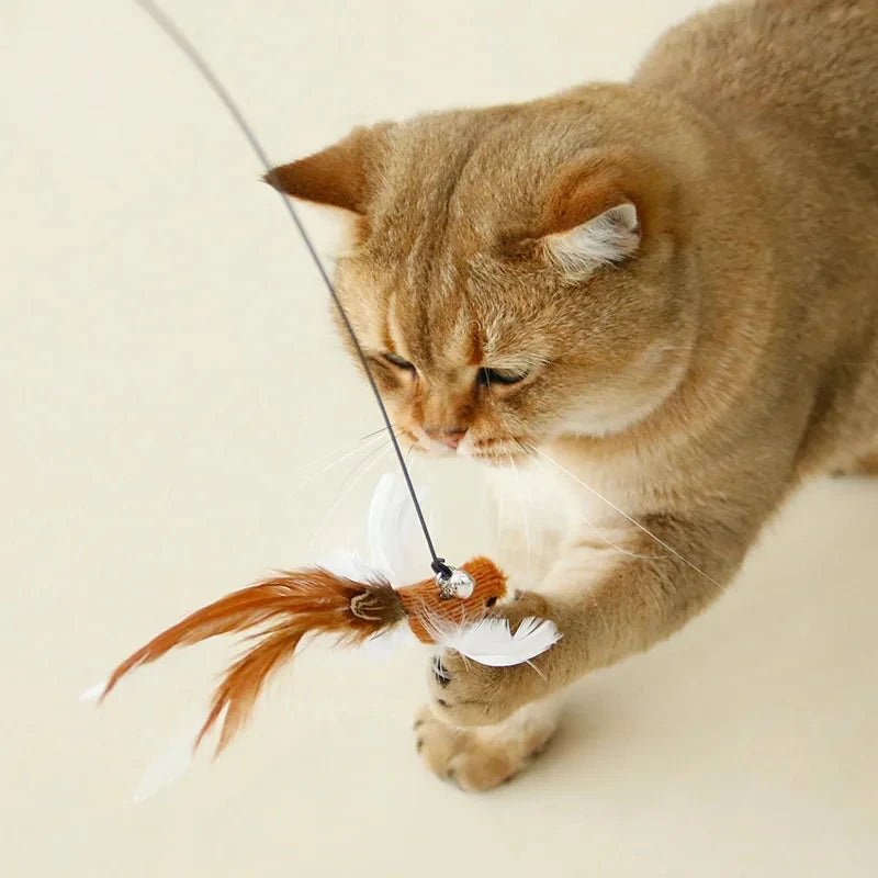 Interactive Cat Wand Toy with Feather and Bell Accessories - Engaging Hunting Teaser for Cats and Kittens