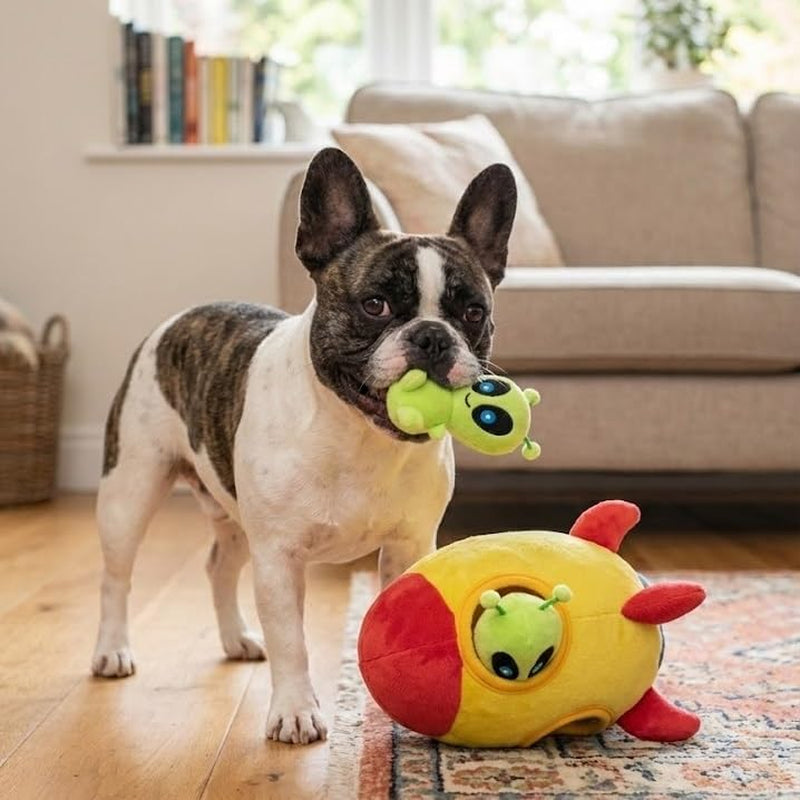 Interactive Plush Hide and Seek Squirrel Puzzle Toy for Small Dogs (Spaceship and Aliens)