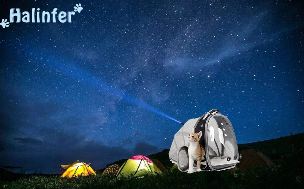 Professional Cat Bubble Backpack with Fan - Space Capsule Clear Window Pet Travel Carrier for Cats and Small Dogs (up to 12 lbs)