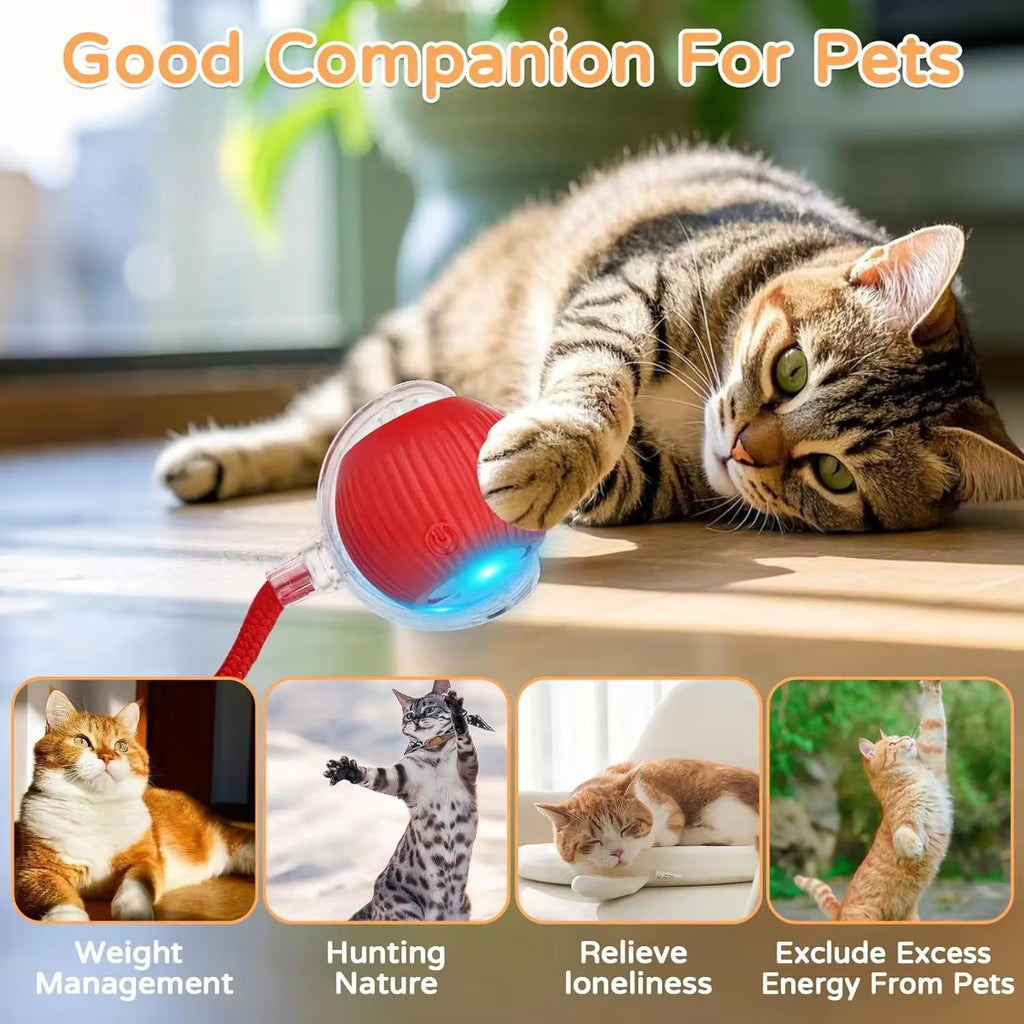 Interactive Automatic Rolling Ball Toy for Dogs and Cats with Faux Tail - Rechargeable Smart Electric Training Device Imitating Mouse Behavior