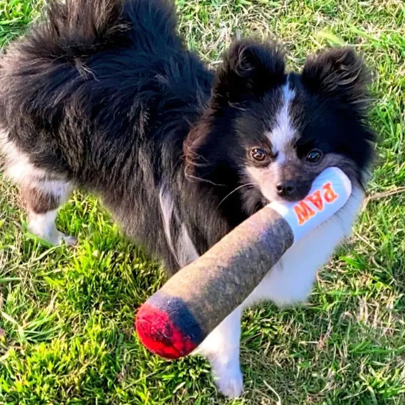 Premium Plush Squeaky Toys for Dogs of All Sizes - Adorable Interactive Gifts for Dog Birthdays and Joint Play