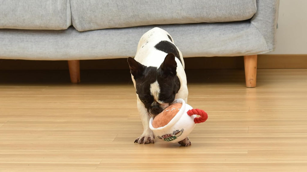 Central Perk Coffee Mug Plush Dog Toy with Rope Handle | Soft Squeaky Toy for Dogs | Stuffed Dog Toy with Squeaker for Enhanced Playtime, Friends Collectible