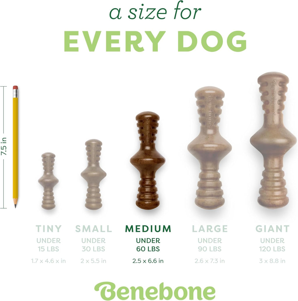 Zaggler Medium Rolling Dog Chew Toy for Aggressive Chewers, Made with Real Chicken, USA-Made