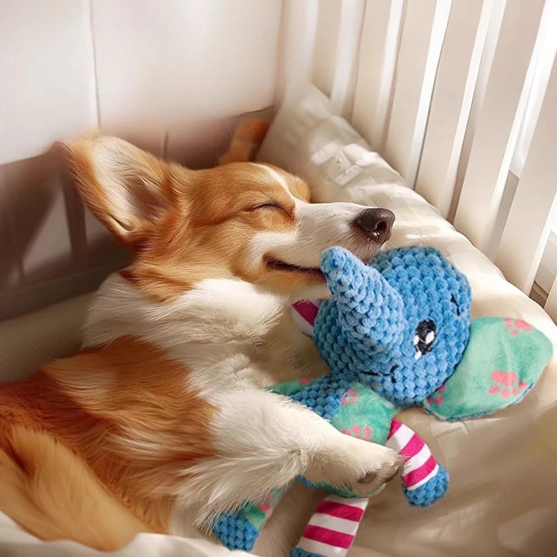 Interactive Bite-Resistant Plush Dog Toy with Squeaker - Ideal for Chewing and Dental Care
