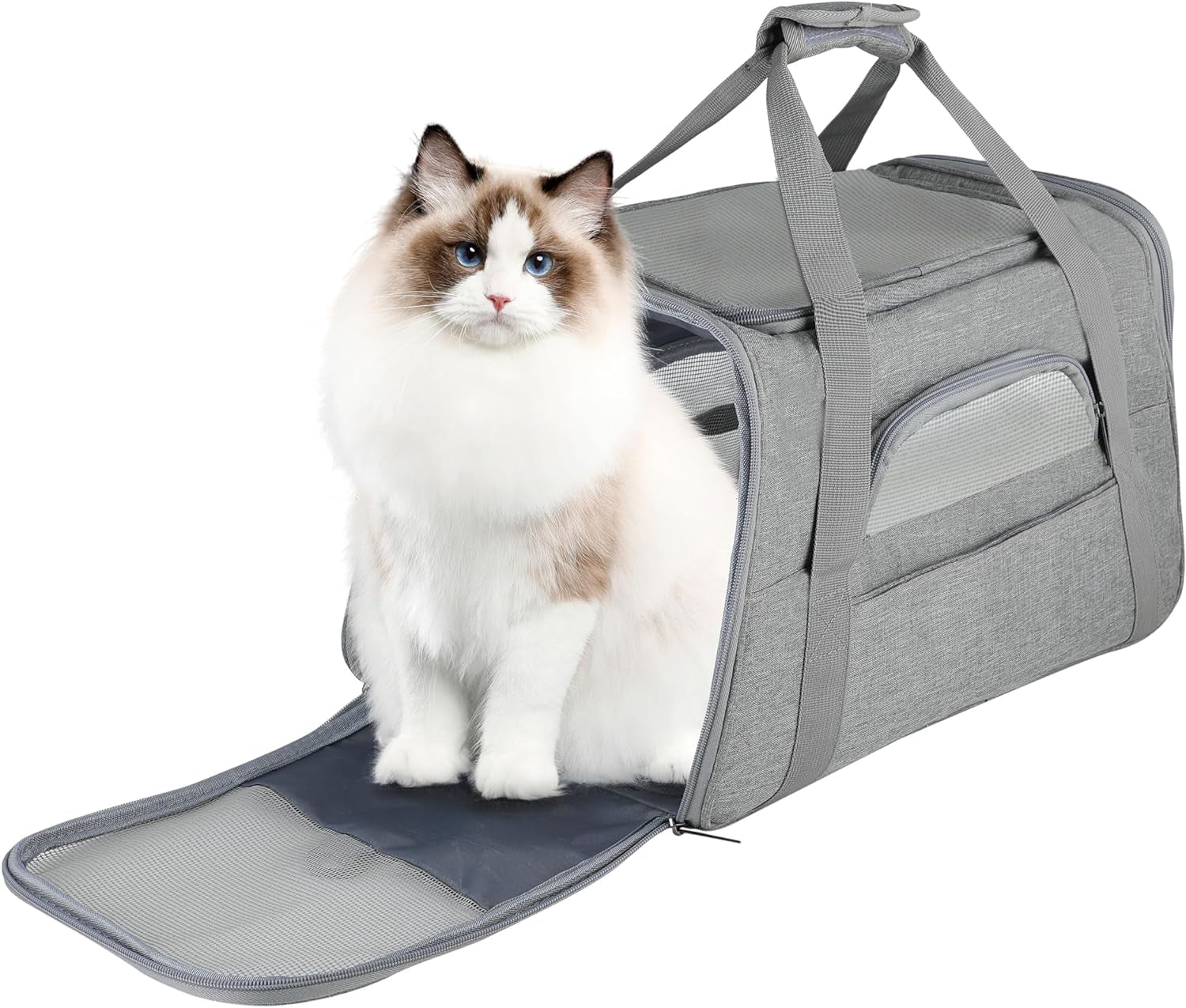 Soft-Sided Portable Pet Travel Carrier for Cats and Small Dogs (Up to 17 lbs) - Collapsible, Durable, Airline Approved (Medium)