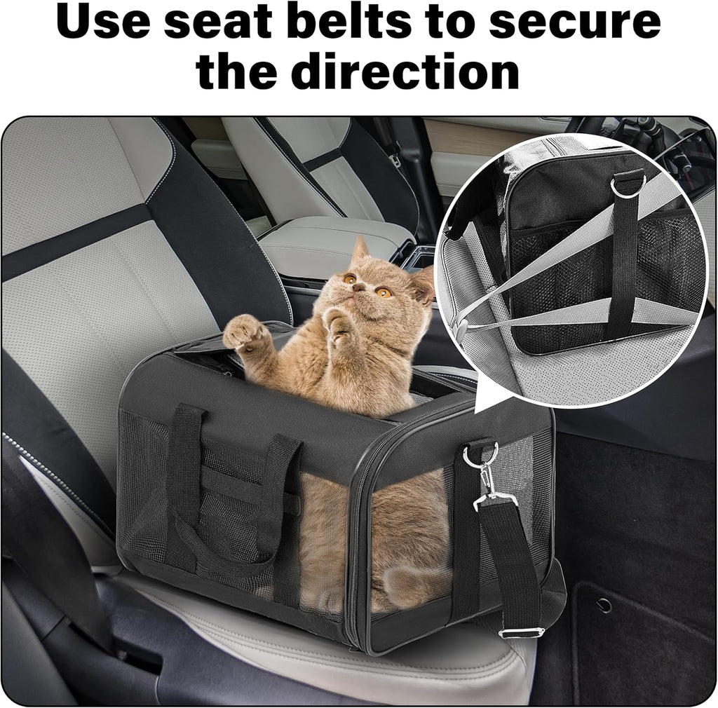 Soft-Sided Portable Pet Travel Carrier for Cats and Small Dogs (Up to 17 lbs) - Collapsible, Durable, Airline Approved (Medium)