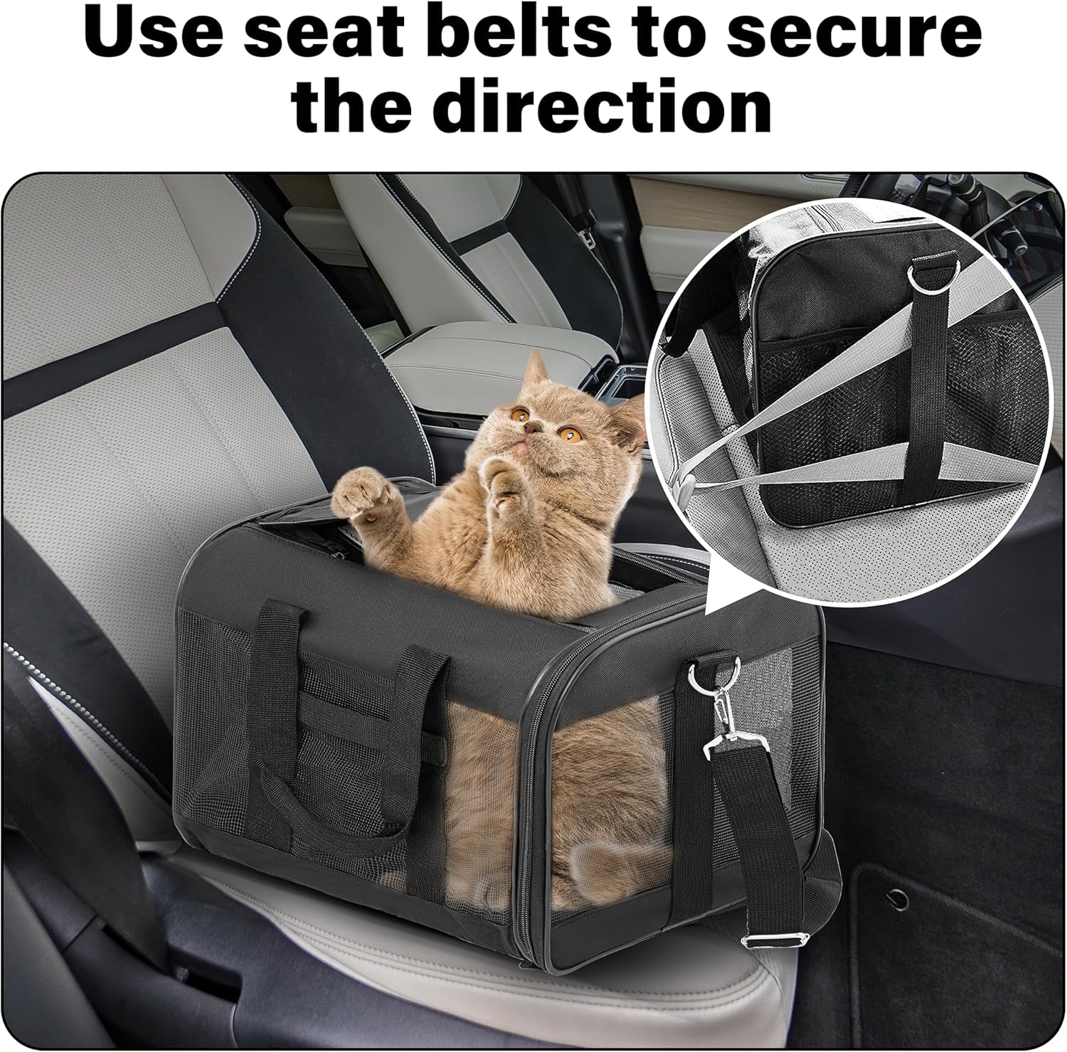 Soft-Sided Portable Pet Travel Carrier for Cats and Small Dogs (Up to 17 lbs) - Collapsible, Durable, Airline Approved (Medium)