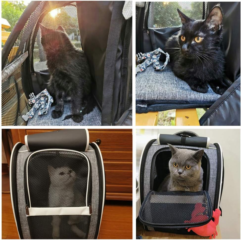 Premium Pet Carrier Backpack with Window Blind for Small Cats and Dogs, Enhanced Ventilation, Safety Straps, Buckle Support, Collapsible Design for Travel, Hiking, and Outdoor Adventures
