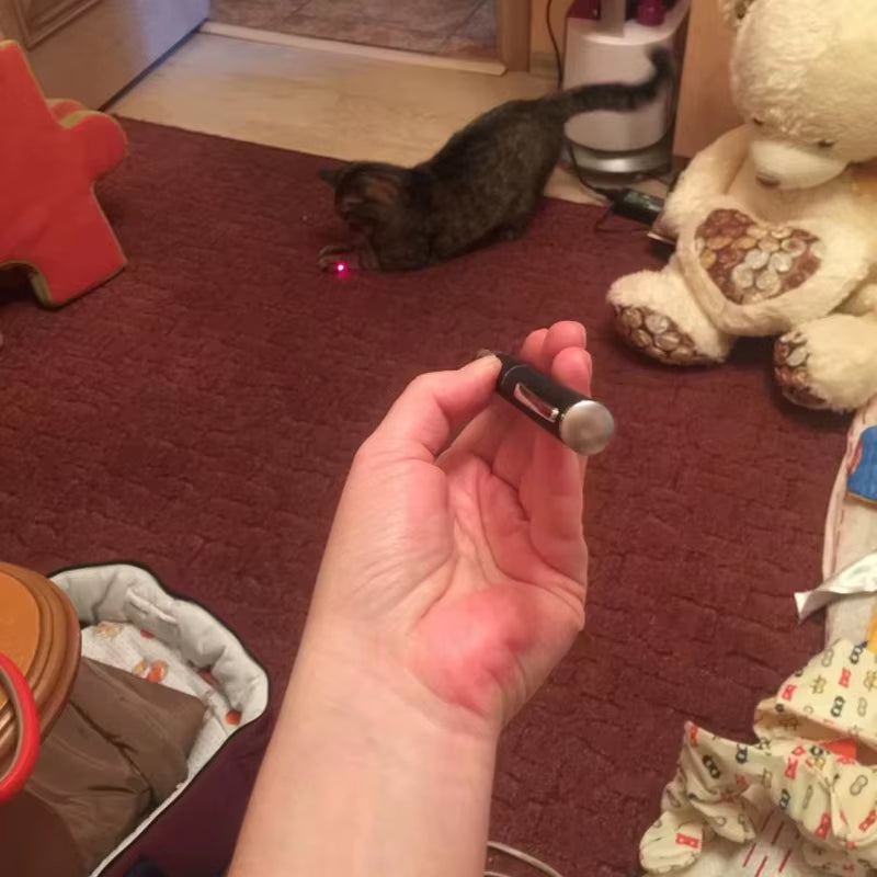 Red Light Single-Point Laser Pointer Pen with Flashlight Function