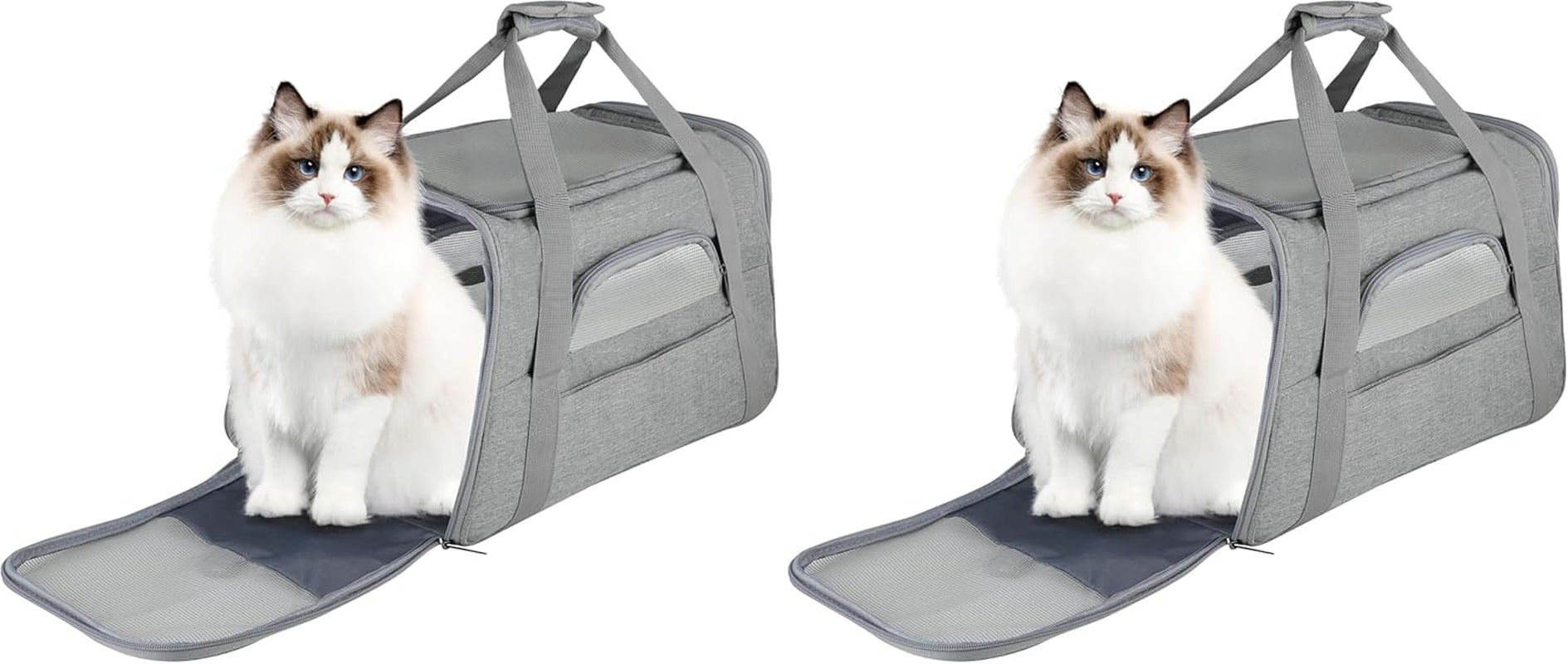 Soft-Sided Portable Pet Travel Carrier for Cats and Small Dogs (Up to 17 lbs) - Collapsible, Durable, Airline Approved (Medium)