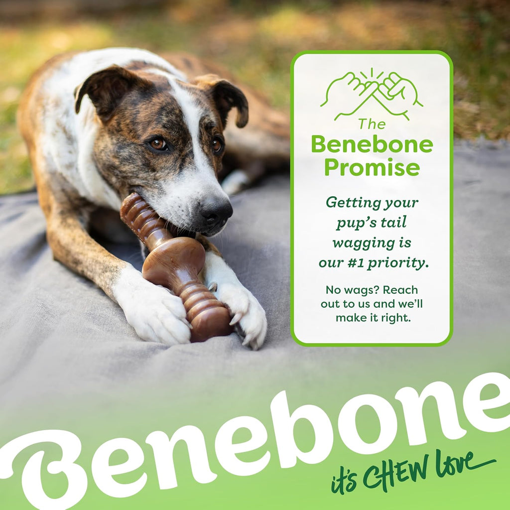 Zaggler Medium Rolling Dog Chew Toy for Aggressive Chewers, Made with Real Chicken, USA-Made
