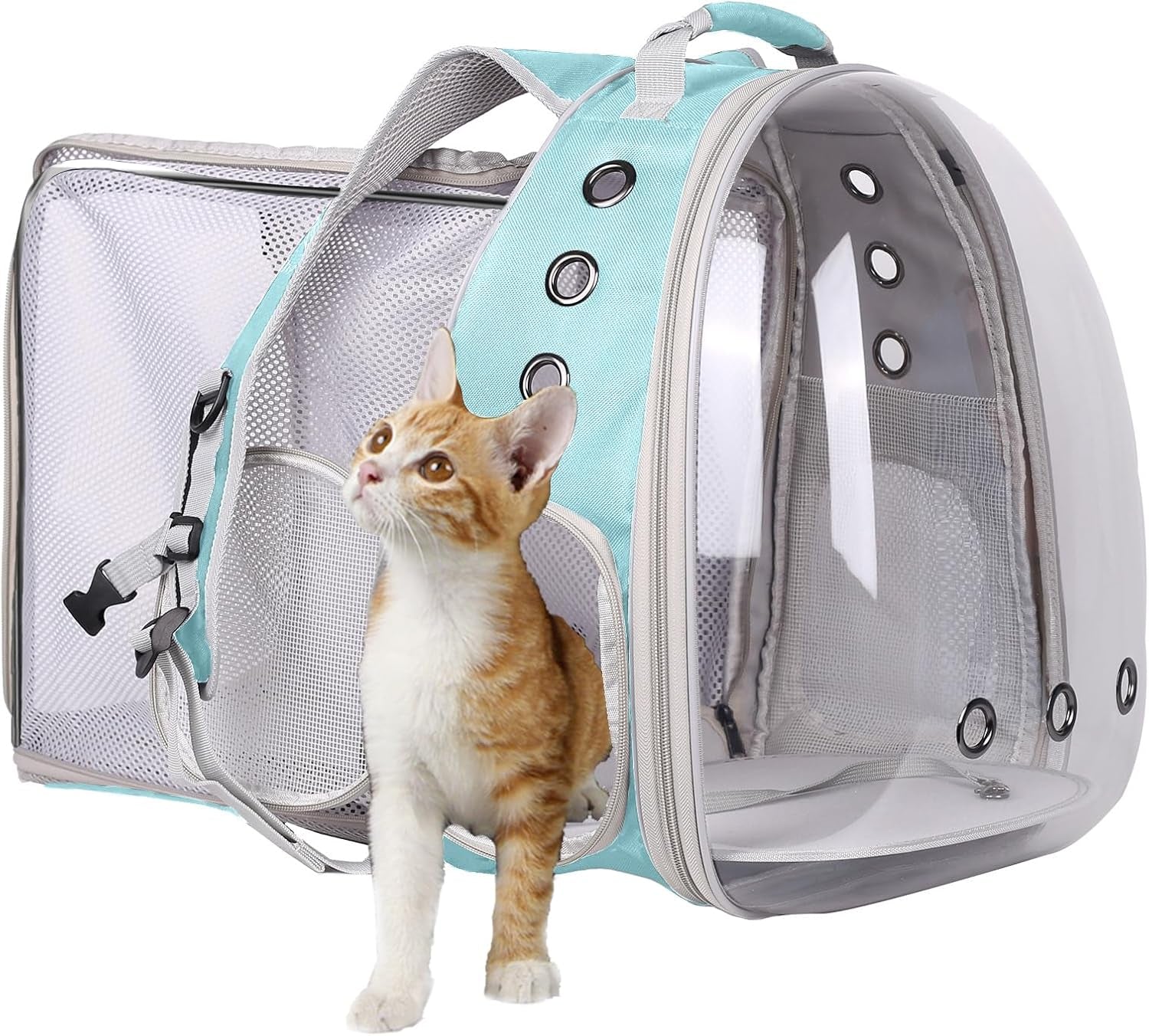 Professional Cat Bubble Backpack with Fan - Space Capsule Clear Window Pet Travel Carrier for Cats and Small Dogs (up to 12 lbs)