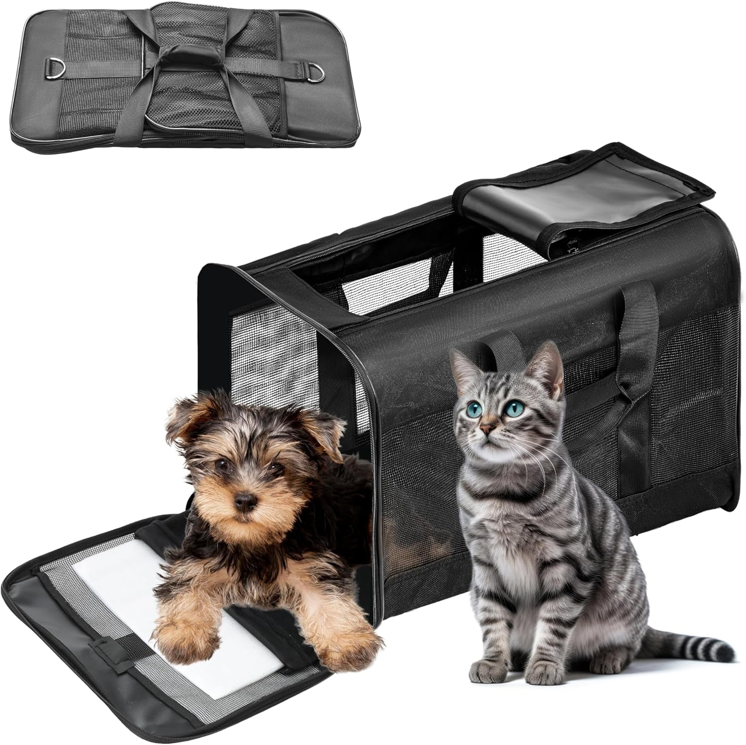 Soft-Sided Portable Pet Travel Carrier for Cats and Small Dogs (Up to 17 lbs) - Collapsible, Durable, Airline Approved (Medium)