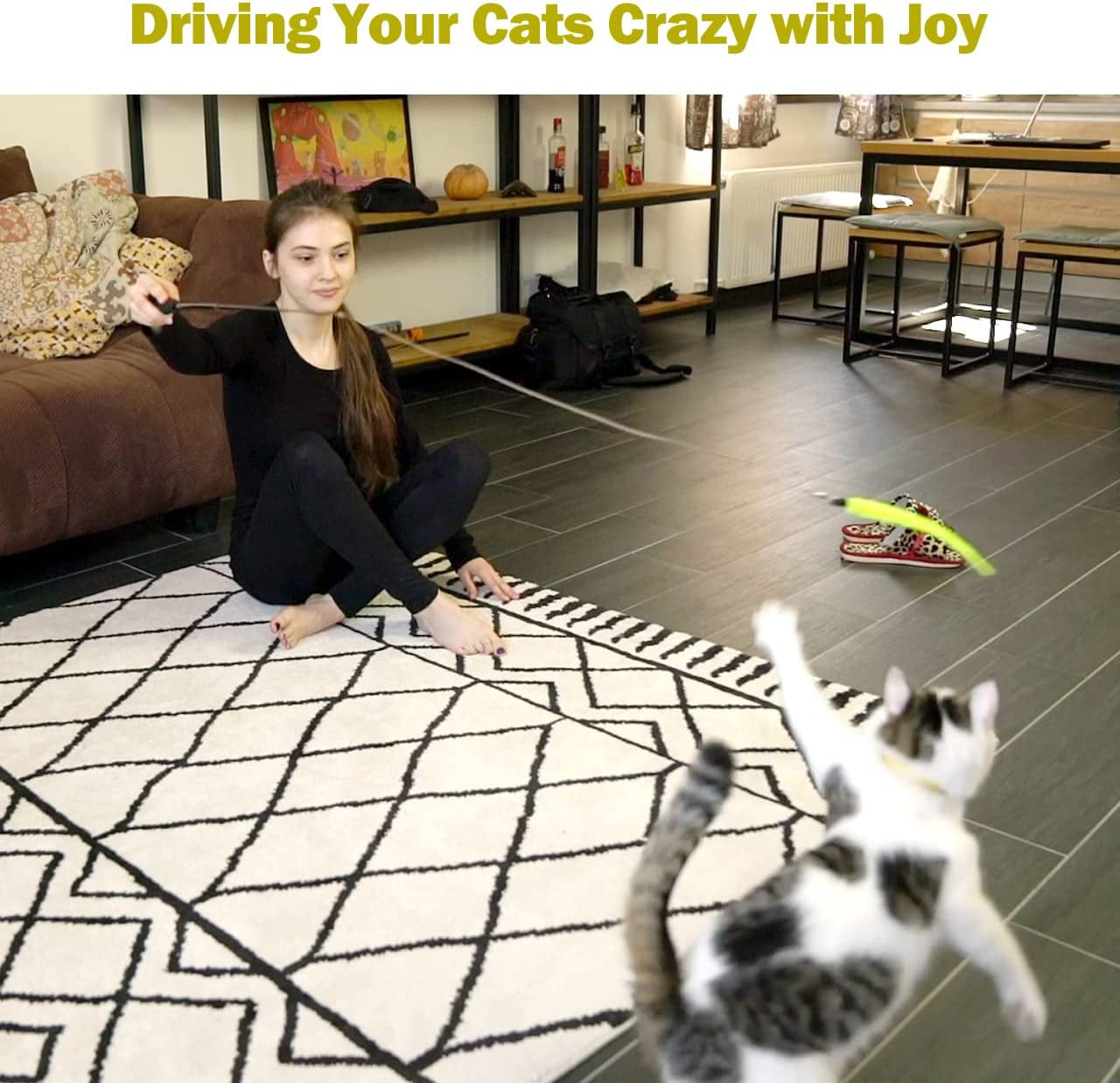 Interactive Cat Toy Set: 2 Retractable Wands and 9 Feather Refills for Indoor Play and Exercise