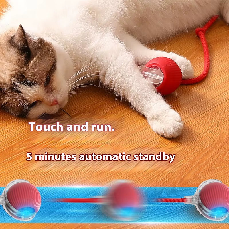 Automatic Rolling Cat Ball Toy - Rechargeable Interactive Electric Toy with Teaser Sensor for Kittens
