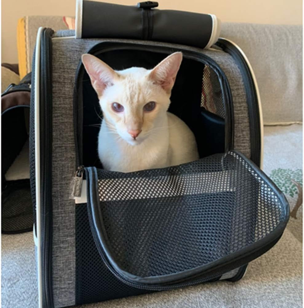Premium Pet Carrier Backpack with Window Blind for Small Cats and Dogs, Enhanced Ventilation, Safety Straps, Buckle Support, Collapsible Design for Travel, Hiking, and Outdoor Adventures