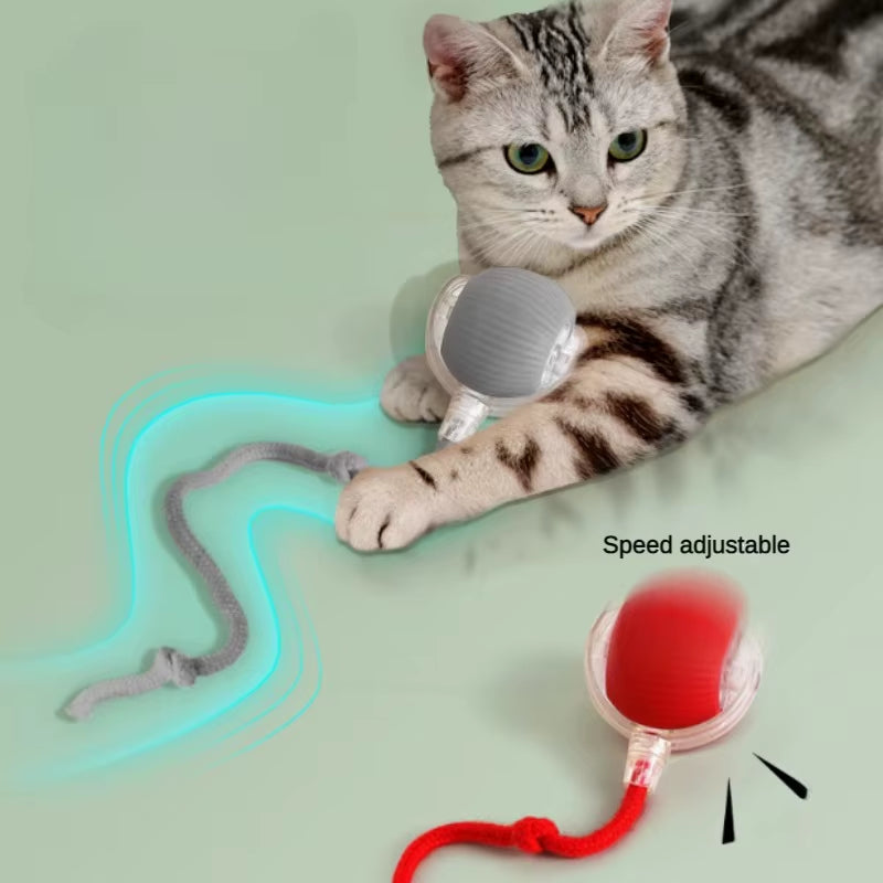 Automatic Rolling Cat Ball Toy - Rechargeable Interactive Electric Toy with Teaser Sensor for Kittens
