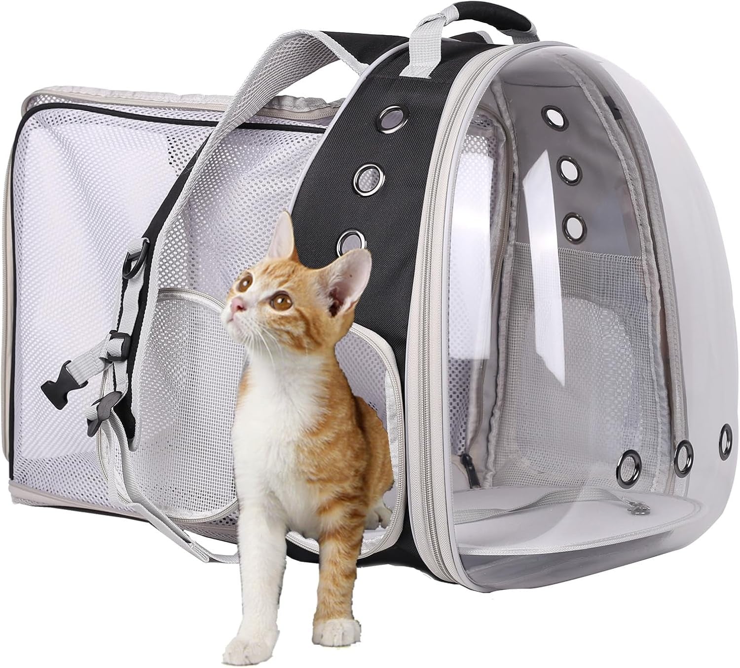 Professional Cat Bubble Backpack with Fan - Space Capsule Clear Window Pet Travel Carrier for Cats and Small Dogs (up to 12 lbs)