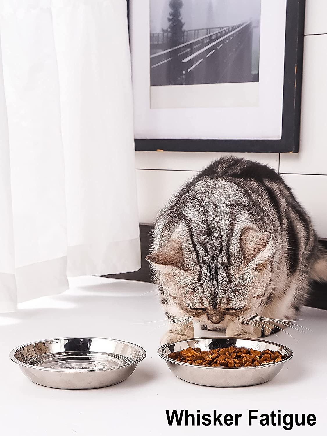 Set of 4 Stainless Steel Cat Food Bowls for Raised Stations, 5.8-Inch Diameter, Designed to Prevent Whisker Fatigue, 10.8 Fl. Oz Capacity, Ideal for Indoor Cats